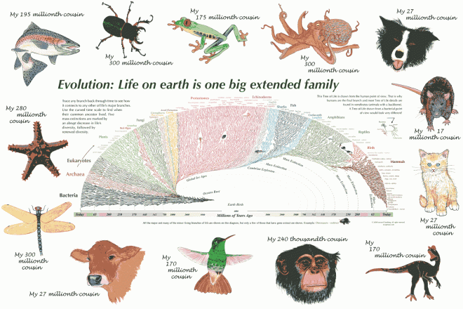 One big family: all organisms are related. (Source)